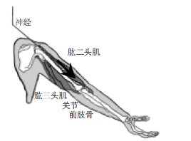 FlashӮǒW(xu)ͻyc(din)